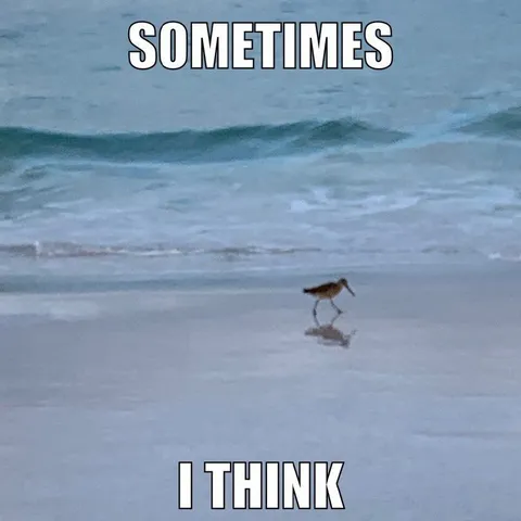 Sometimes I Think