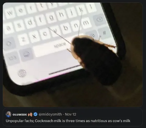 Cockroach Milk Unpopular Fact