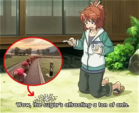 Sugar Attracts a Ton of Ants