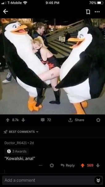 Kowalski, anal