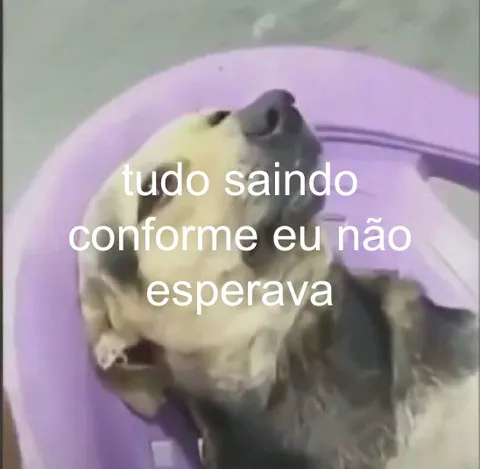Tudo saindo conforme eu não esperava