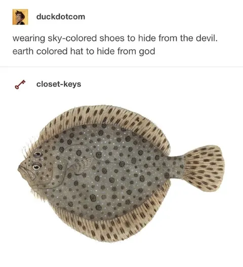 Sky Shoes Earth Hat