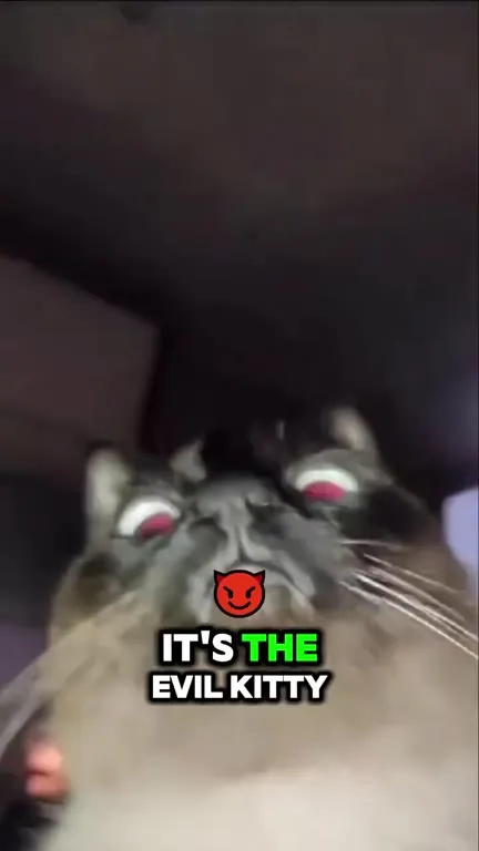 Evil Kitty Still Loves You