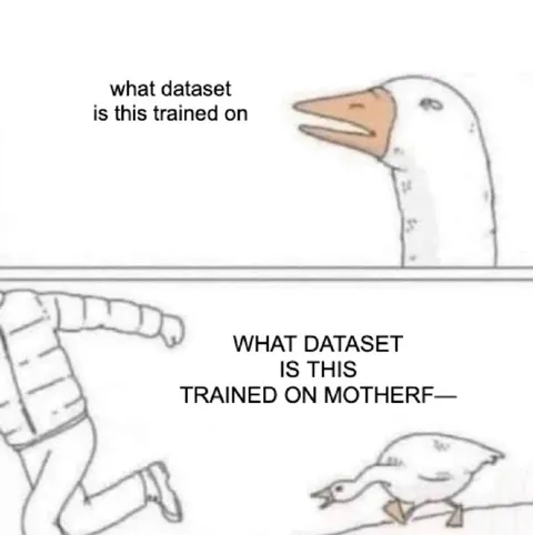 What Dataset Is This Trained On