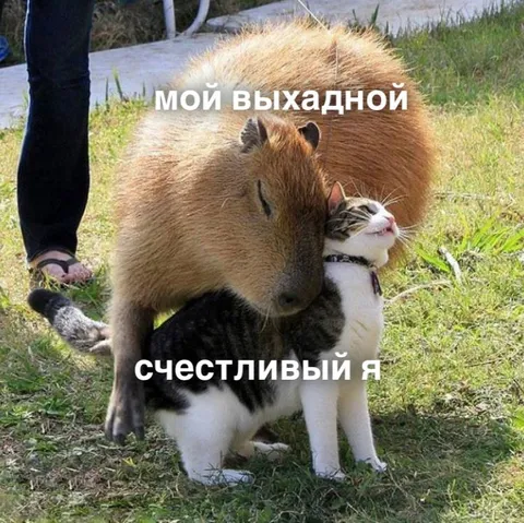 Мой выходной и счастливый я