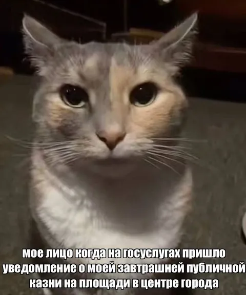 Лицо после уведомления о казни