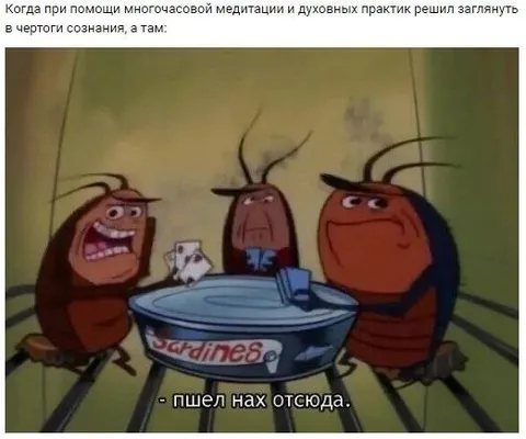 Медитация закончилась изгнанием