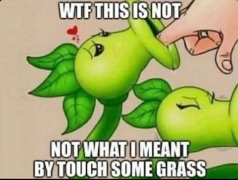 Touch Some Grass Literally