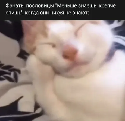 Фанаты крепкого сна
