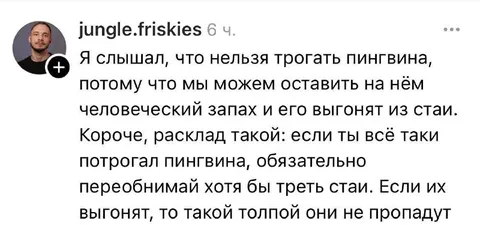 Пингвин и треть стаи