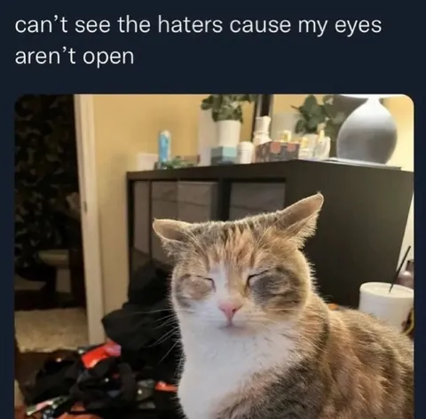 Can't See the Haters