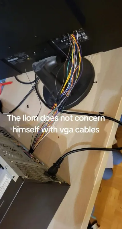 The Liom Ignores VGA Cables