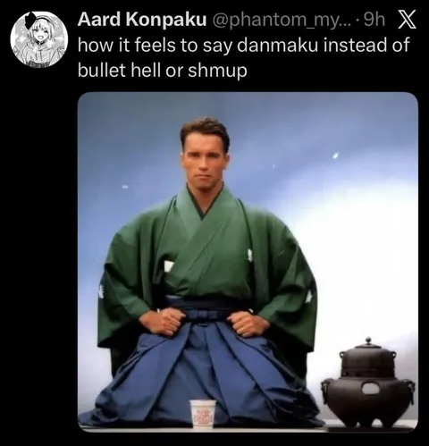Saying danmaku instead of bullet hell