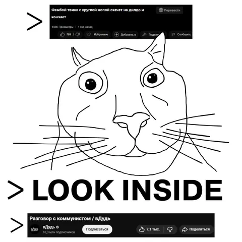 Кот: LOOK INSIDE