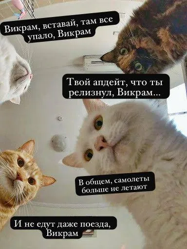 Викрам, вставай, там всё упало