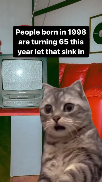 People Born in 1998 Turning 65