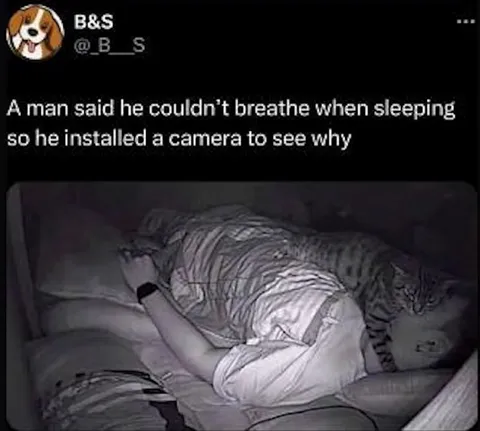 Cat Explains the Breathing Problem