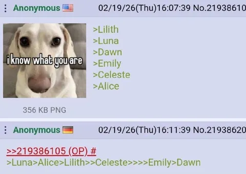 I Know What You Are Dog