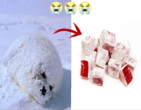 Снег превратился в сахар