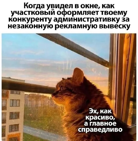 Красиво и справедливо