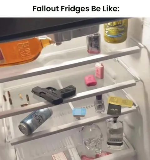 Fallout Fridges Be Like