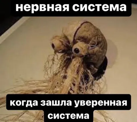 Когда зашла уверенная система