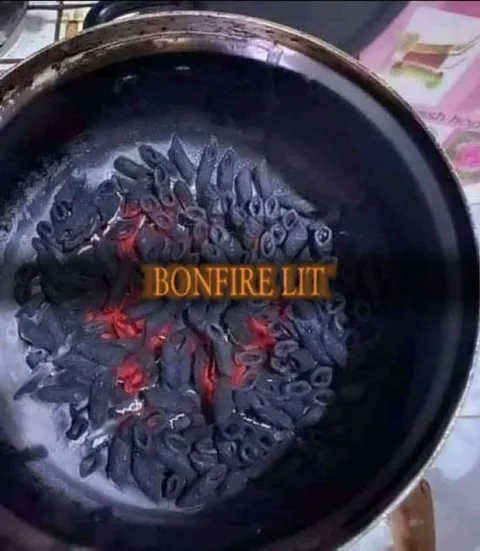 Bonfire Lit Coal Meme