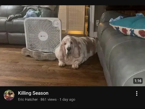 Killing Season Dog Video