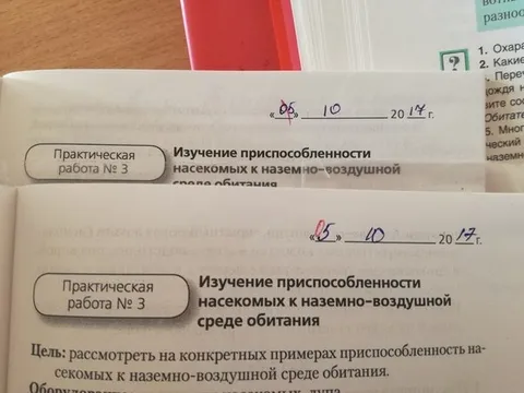 Практическая работа снова та же