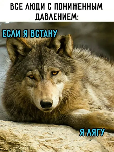 Если я встану, я лягу