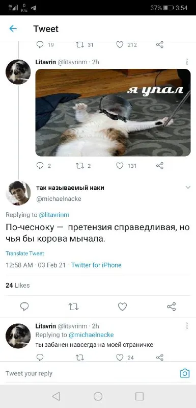 Кошка упала и забанила