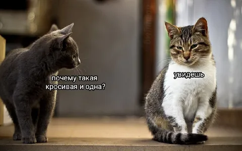 Почему такая красивая и одна