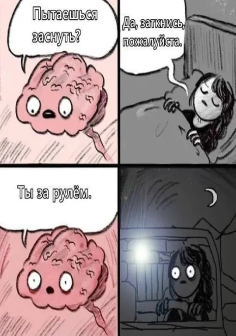 Мозг не даёт заснуть за рулём