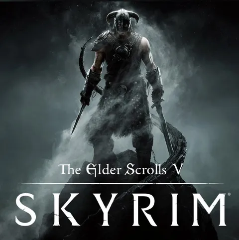 Skyrim Anniversary Cover