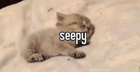 Seepy sleeping kitten