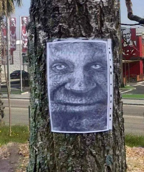 Таинственное лицо на дереве
