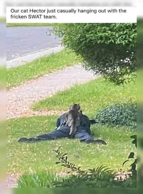 Cat Hanging With SWAT