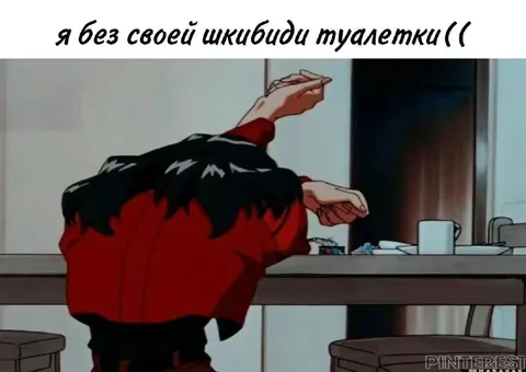 Я без своей шкибиды туалетки