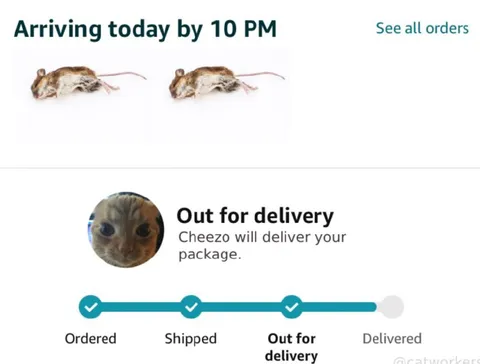 Cheezo Out for Delivery