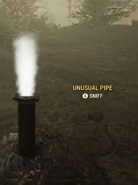 Unusual Pipe A Sniff