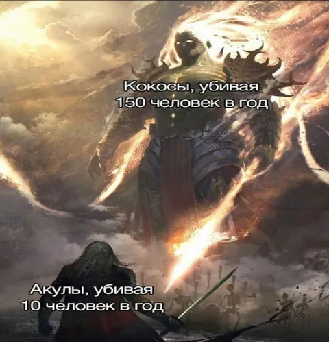 Кокосы опаснее акул