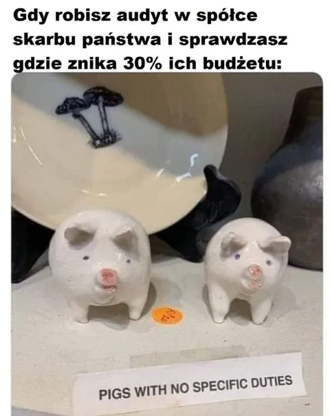 Audyt świń bez konkretnych obowiązków