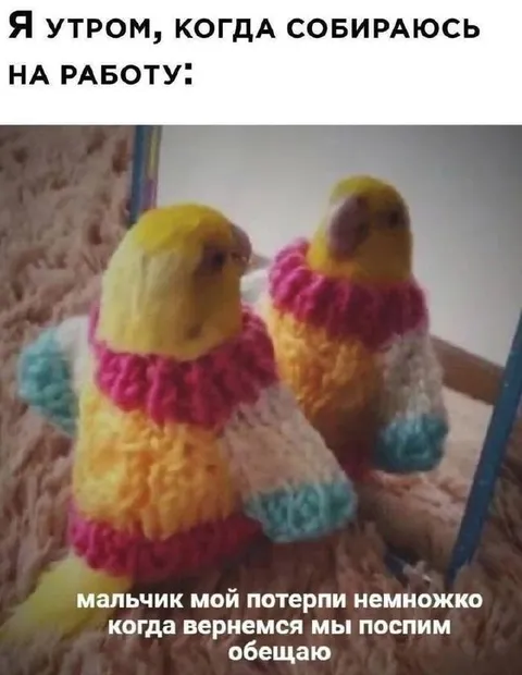 Утром собираюсь на работу