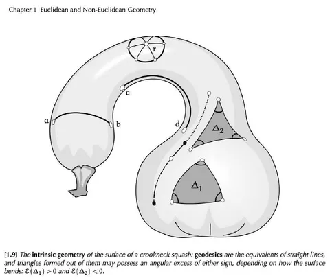 Intrinsic Geometry of a Crookneck Squash