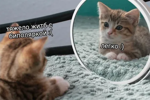 Котёнок с биполяркой