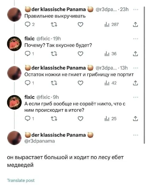 Гриб ходит по лесу и ебет медведей