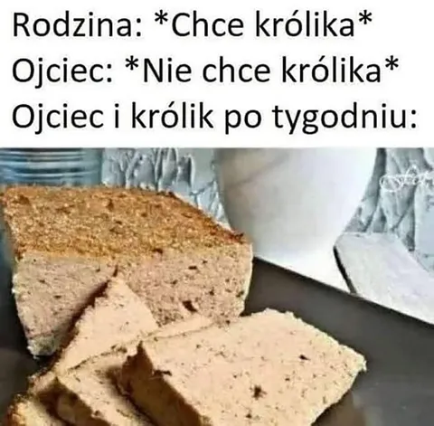 Ojciec i królik po tygodniu