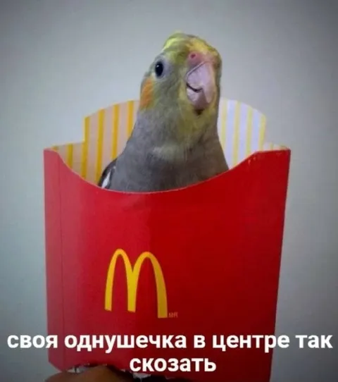 Однушечка в центре