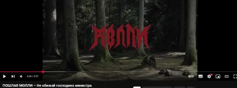 Молли в мрачном лесу