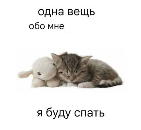 Одна вещь обо мне — я буду спать